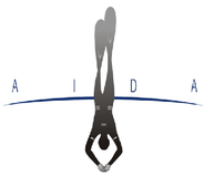 AIDA AIDA
